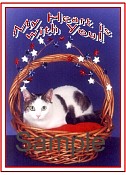 CATN04.jpg